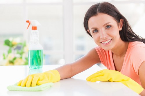 Professional deep cleaning for London homes and flats