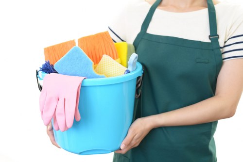 Professional sofa cleaning service for London homes and flats