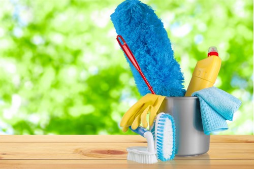 Professional end of tenancy cleaning in a London flat