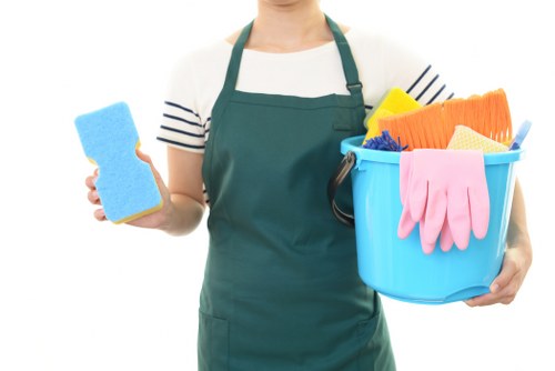 Professional oven cleaning in a London home kitchen