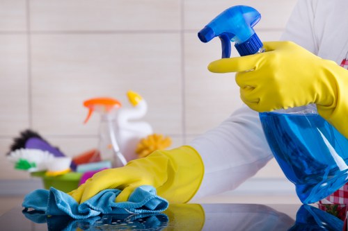 Deep cleaning oven racks and interior parts in London