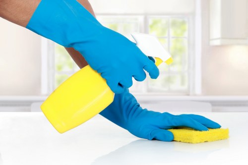 Cleaner preparing a London flat for a professional domestic clean