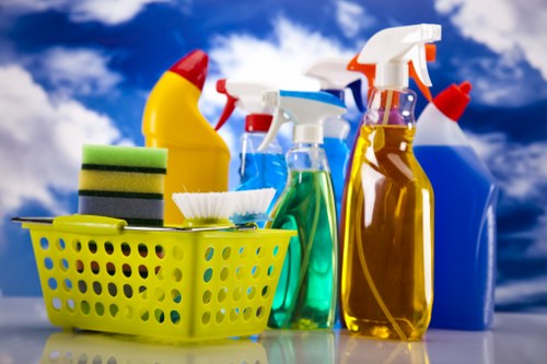 Thorough kitchen and bathroom cleaning in a London property