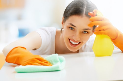 Accessibility request support for London House Cleaning