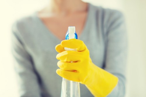 Payment and invoicing terms for a London house cleaning appointment with 