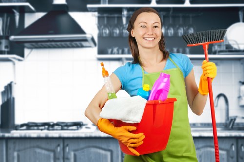 Upholstery cleaning appointment for sofas and chairs in London