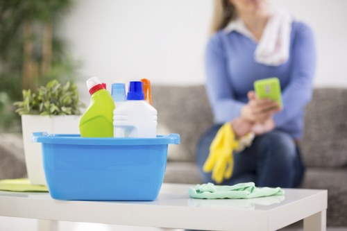 Routine home cleaning in a tidy London apartment