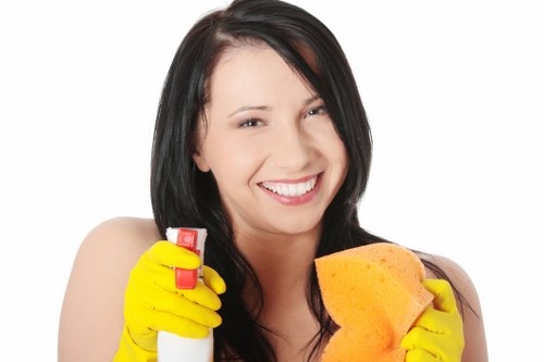 Deep upholstery cleaning process for a fabric sofa